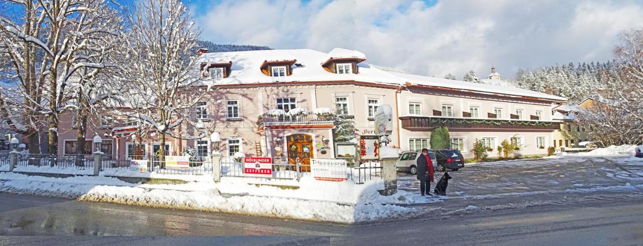 Gasthof Zum Niederhaus - Familie Perthold Sankt Aegyd am Neuwalde Exterior photo