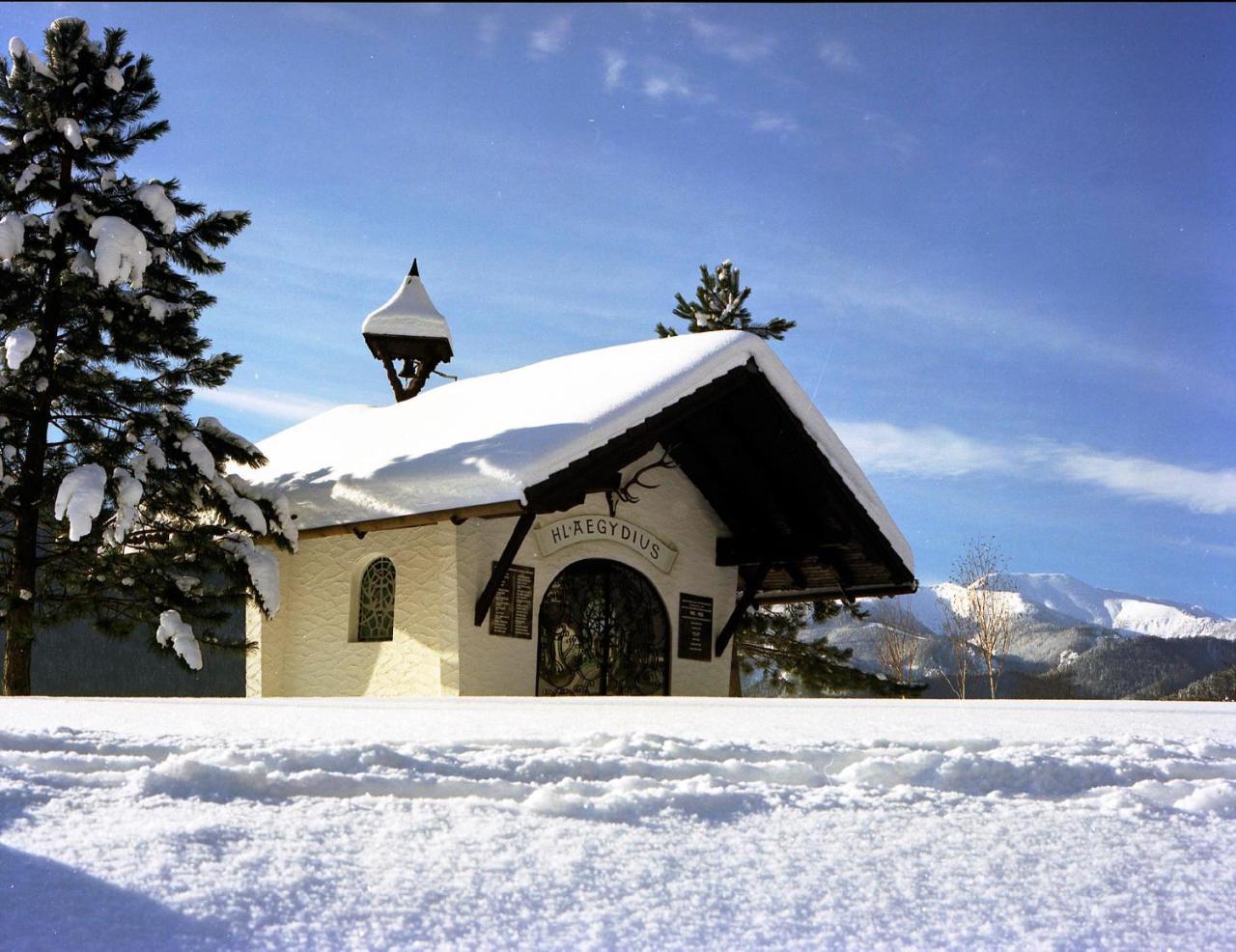 Gasthof Zum Niederhaus - Familie Perthold Sankt Aegyd am Neuwalde Exterior photo
